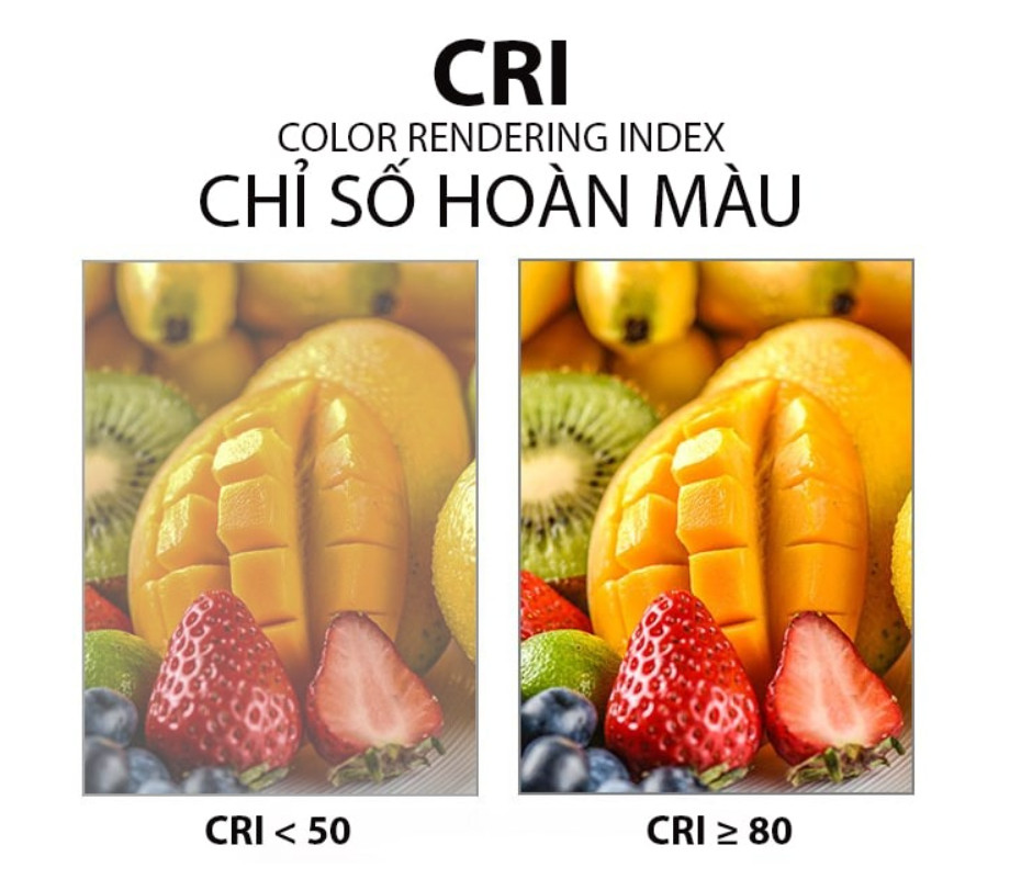 Đèn Led Chiếu Điểm MPE 12W TSLB-12T