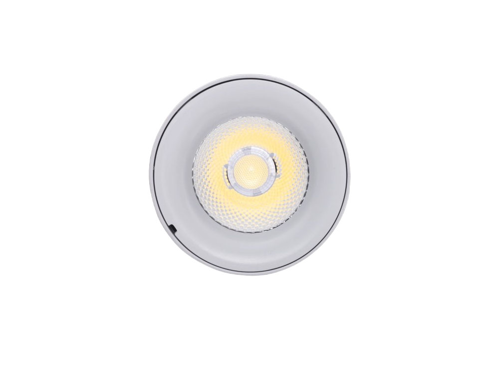 Đèn Led Chiếu Điểm Gắn Nổi 12W SDL-12T